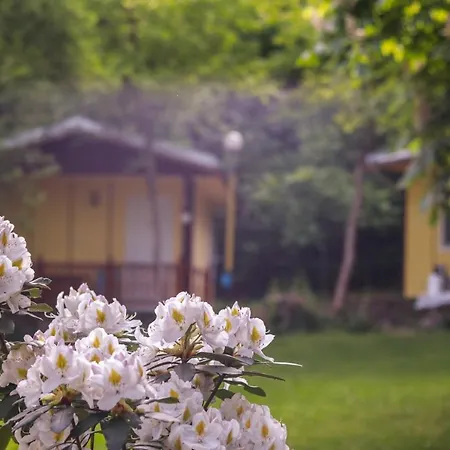 Homely Bungalow Fro 2 Or 3 Persons 3* Kamena